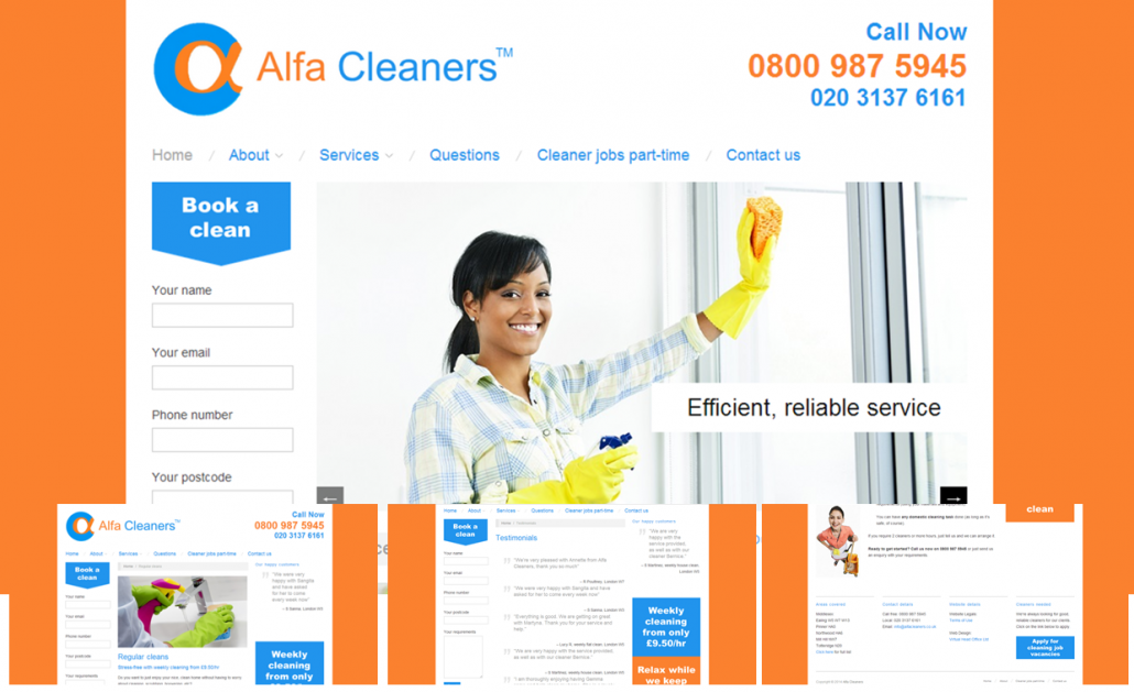 Alfa Website Example 01