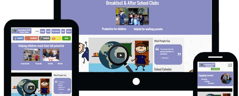 School Animation & Website